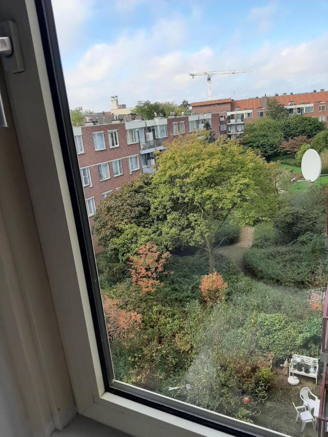El Camino B&B Amsterdam Eksteriør billede